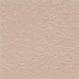 Prism Cardstock 12"x12" Brauntöne - Suede Brown Light