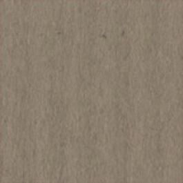 Prism Cardstock 12"x12" Brauntöne - Safari