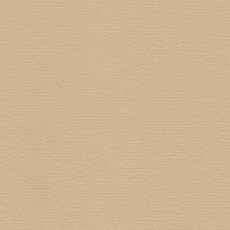 Prism Cardstock 12"x12" Brauntöne - Panna