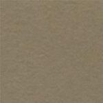 Prism Cardstock 12"x12" Brauntöne - Birchtone Medium