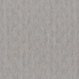 Prism Cardstock 12x12 Schwarz-Weiß-Grau - Smoke Gray