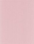 Bazzill Cardstock 12"x12" Rot- und...