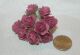 SRH Flowers - Mini Rose Mauve
