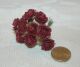 SRH Flowers - Mini Rose Burgundy