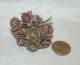 SRH Flowers - Mini Rose Mocca