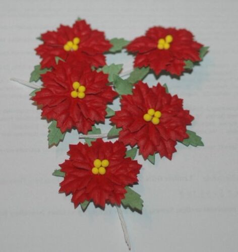 SRH Flowers - Pointsettia