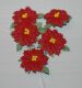 SRH Flowers - Pointsettia
