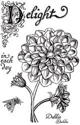 CRS Clear Stamps - Dahlia