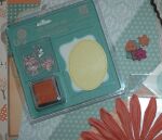 SRH Kit des Monats - Scrapbook-Kit Eulengeflüster