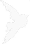 HSW Sticker - Bird Weiss