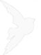HSW Sticker - Bird Weiss