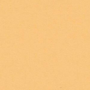 Bazzill Cardstock 12"x12" Gelb- und Orangetöne - Citrus