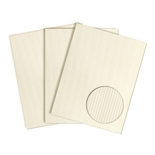 Prism Cardstock 12"x12" Brauntöne - Ivory Groove