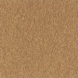 Prism Cardstock 12"x12" Brauntöne - Copper Metallic