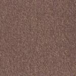 Prism Cardstock 12"x12" Brauntöne - Bronze...