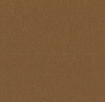 Bazzill Cardstock 12"x12" Brauntöne - Chocolate