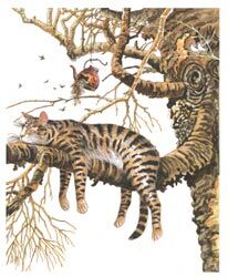STH Holzstempel - Cat in Tree