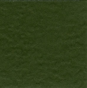 Bazzill Cardstock 12"x12" Grüntöne - Herbal Garden Dark