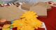 SRH Kit des Monats - Scrapbook-Kit Herbstduft