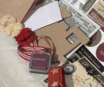 SRH Kit des Monats - Scrapbook-Kit French Country