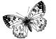 BLD Stempelgummi - Butterfly Sm