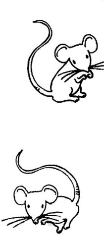 BLD Stempelgummi - Mice Duo