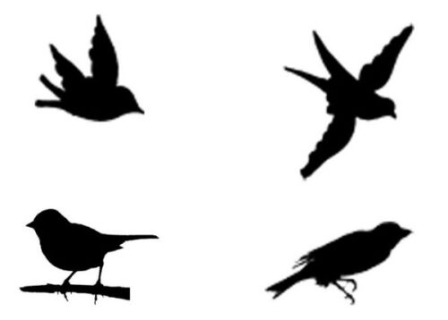 BLD Stempelgummi - Bird Silhouette Cube