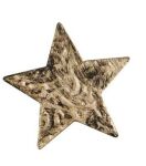 CCH Metal Art - Stern