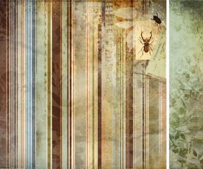 KSC Cardstock - Hunt & Gather Forage