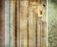 KSC Cardstock - Hunt & Gather Forage
