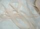 CHTR Spitze - Angel Lace Nude 1/2"