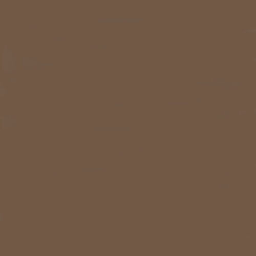 Bazzill Cardstock 12"x12" Brauntöne - Smoothie Carob Cream