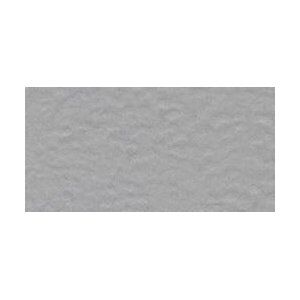 Prism Cardstock 12"x12" Schwarz-Weiß-Grau - Gray