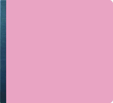 SEI Album - Preservation Series 6" x 6" Pink