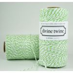 WSG Divine Twine - Green Apple