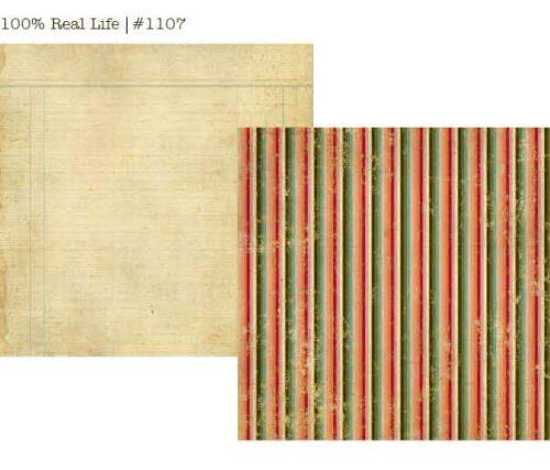 SST Cardstock - Life Documented 100% Real Life
