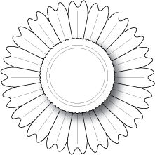 MMB Stanze - Blooming Rosette