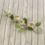 PRM Flower - Nature Garden Button Vine