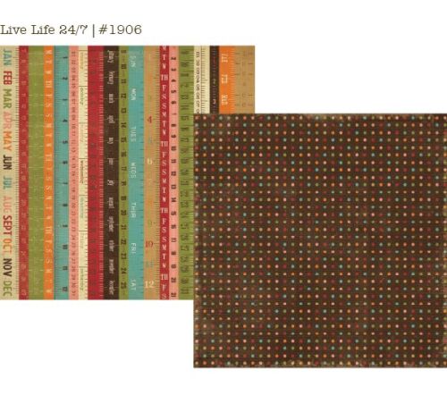 SST Cardstock - Year-o-Graphy Live Life 24/7