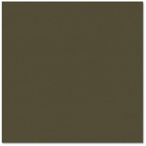 Prism Cardstock 12x12 Brauntöne - Birchtone Dark
