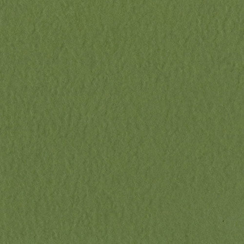 Bazzill Cardstock 12"x12" Grüntöne - Herbal Garden Medium