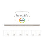 AMC Becky Higgins Project Life - Klarsichthüllen/Page Protectors Big Variety 60 St