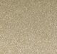 RYH Cardstock - Glitter Champagne