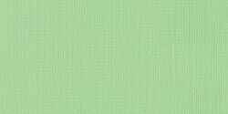 AMC Cardstock 12"x12" Grüntöne - Cabbage