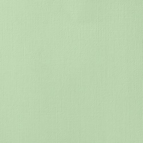 AMC Cardstock 12x12 Grüntöne - Peapod
