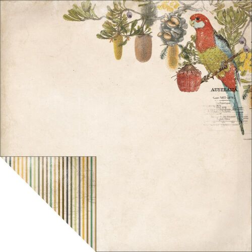 KSC Cardstock - Great Southern Land VIC Australia