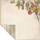 KSC Cardstock - Great Southern Land VIC Australia