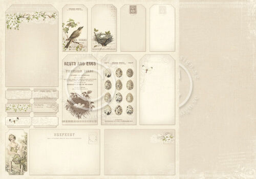 PIO Cardstock - A Day in May Tags