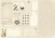 PIO Cardstock - A Day in May Tags