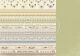PIO Cardstock - My beloved Son Borders